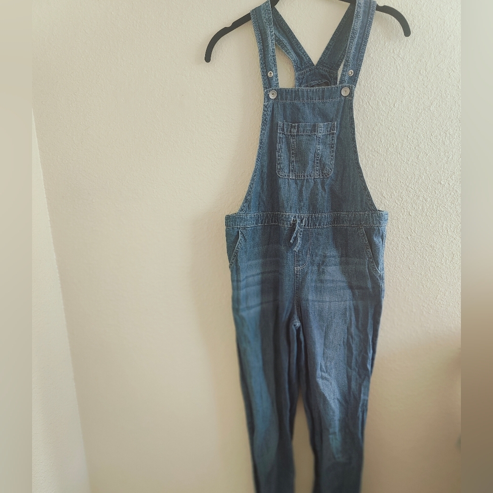 Children's Place Blue Denim Overalls